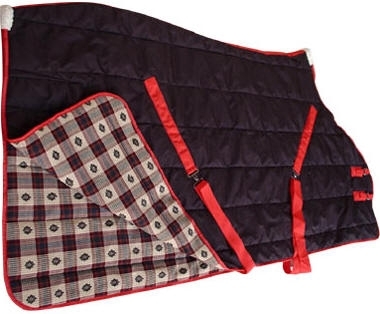 Horse Blanket